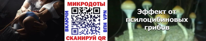 Купить где  Первомайск  Галлюциногенные грибы MAGIC MUSHROOMS 