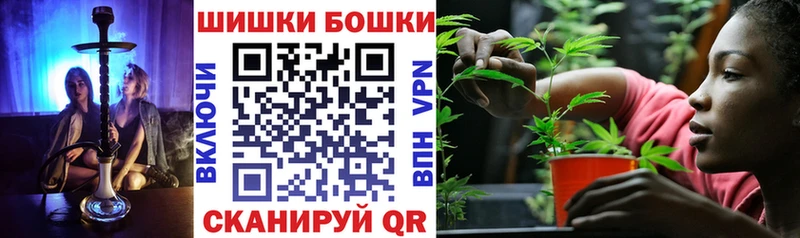Канабис семена  Купить закладки  Первомайск 